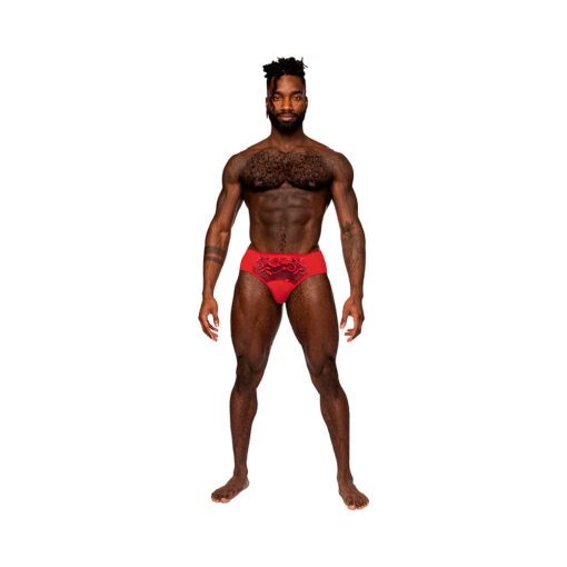 Male Power Sassy Lace Bikini Solid Pouch Red L