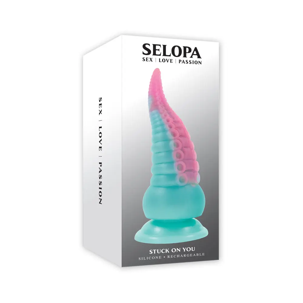 Dildos collection
